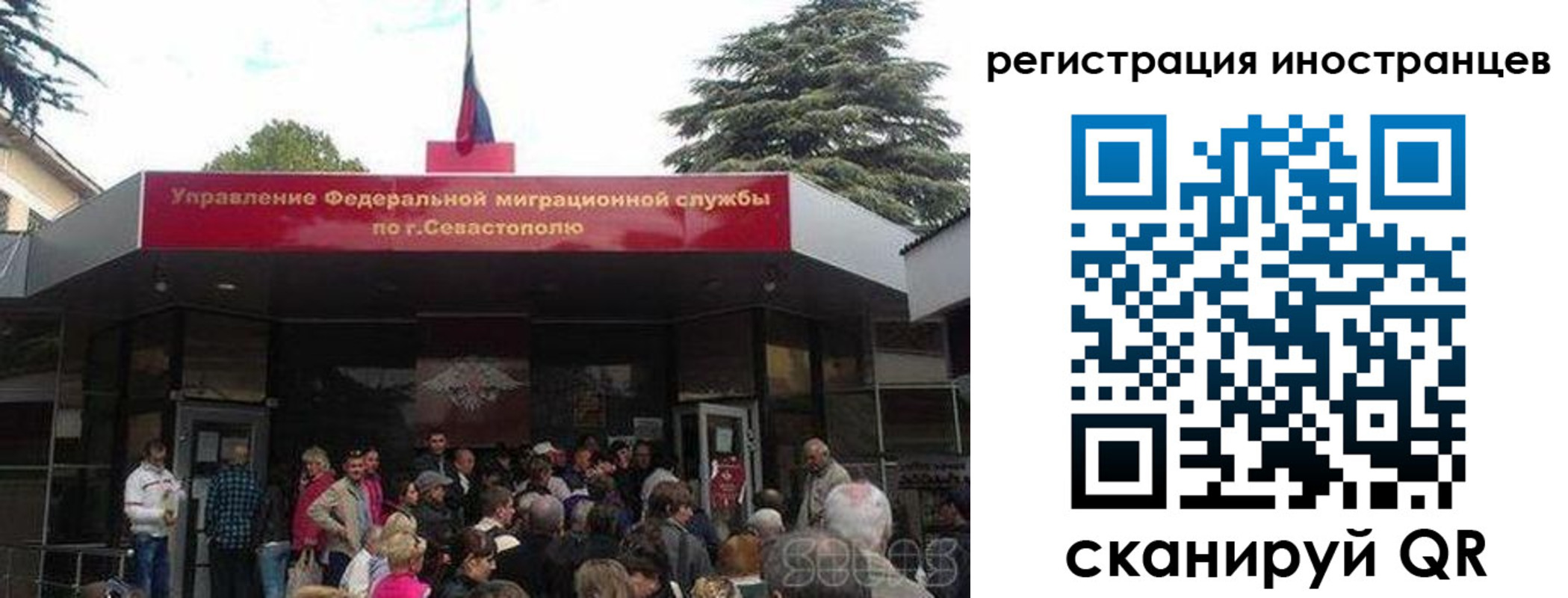 прописка в Ясном